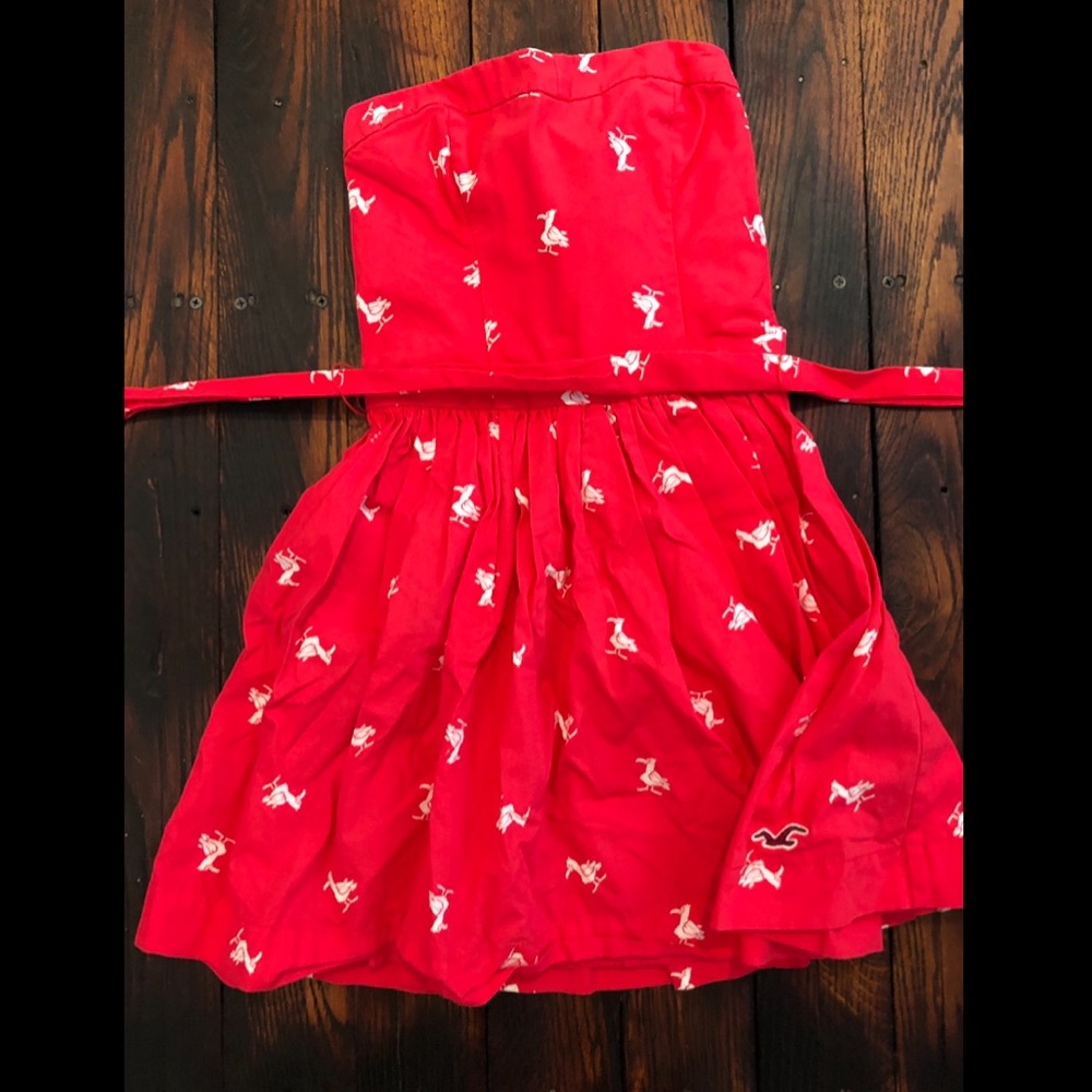 Red Pelican Hollister Fit and Flare Dress